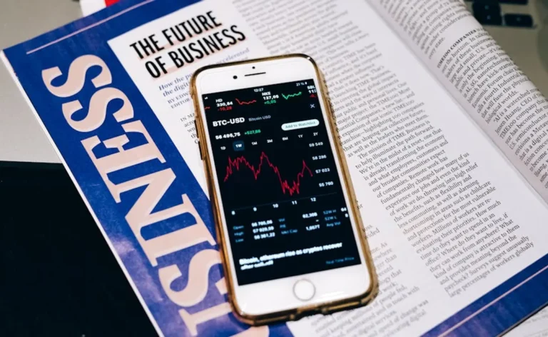 cruzdid.com Guide: Background, Context, and Reader Takeaways