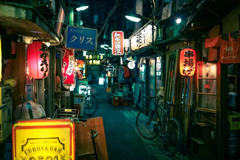 Izakaya Guide Examples