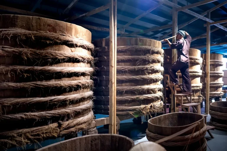 On the Slow Disappearance of Japan's Small Soy Sauce Producers