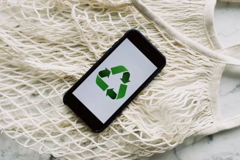 Should eco-conscious businesses Pay Attention to EditPro Tips AI?
