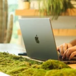 Should eco-conscious businesses Pay Attention to Nadine Caridi?